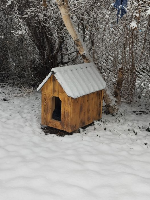 Будка для кошек или маленькой собаки