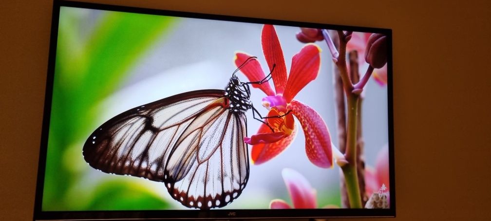 Телевизор jvc 49 led smart tv