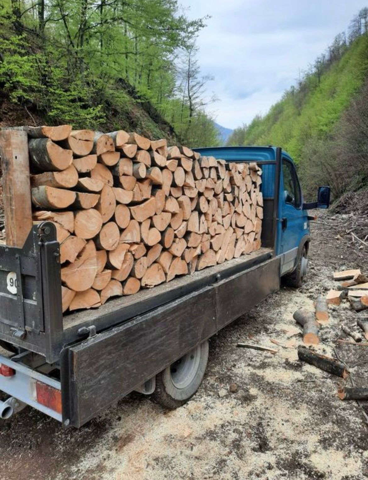 Lemne de foc calitate superioară[FAG,GORUN, CARPEN, CER]