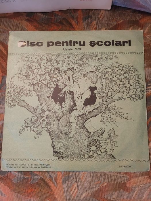 Placa muzicala Vinil