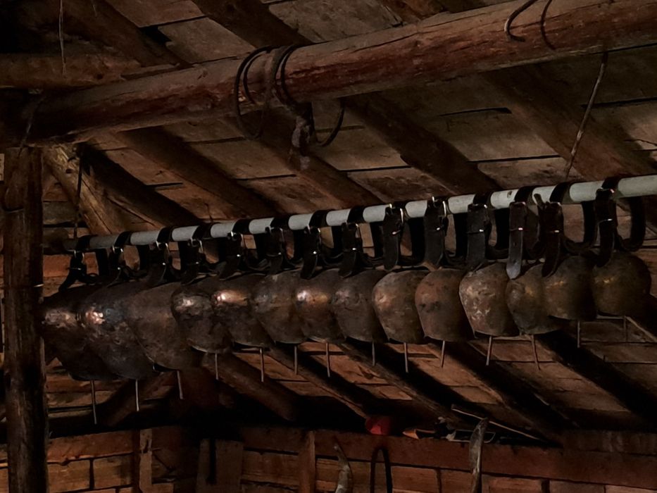 Хлопки. Чанове. Чан