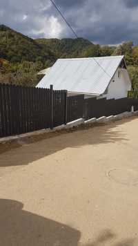 Gard metalic gard beton