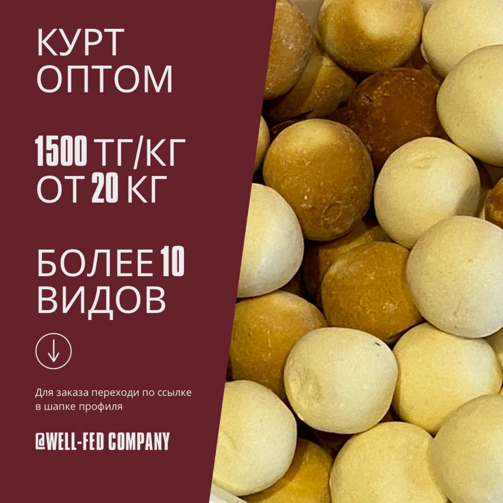 Курт оптом