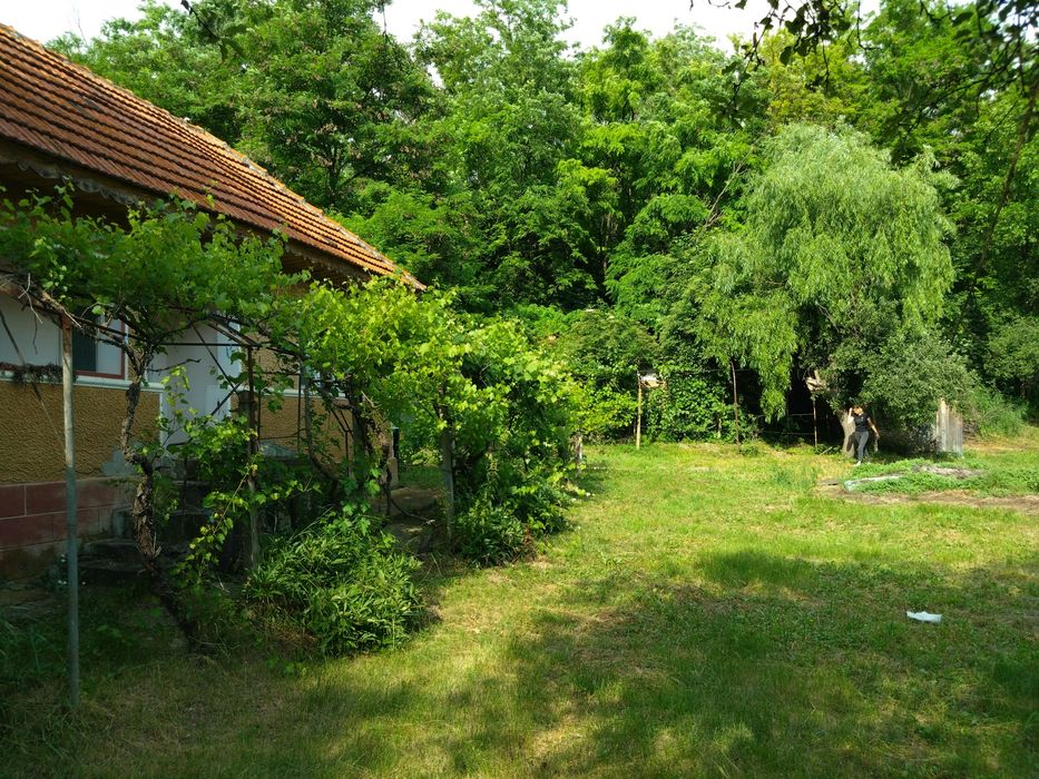 Teren intravilan și casa