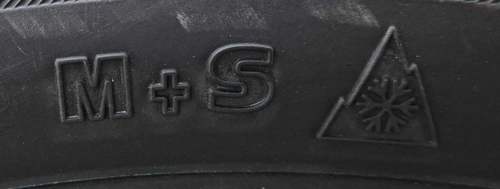 195/55 R15, 89V, RIKEN ( by Michelin ) XL, Anvelope all season M+S