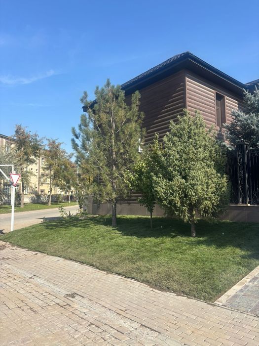 Газон рулонный живой газон в наличии от питомника укладка