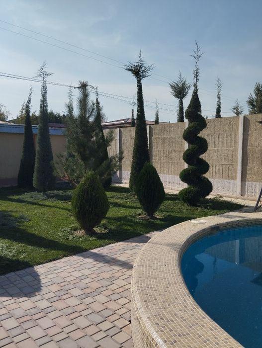 Арча кесиш хизмати дорилаш богбончилкгазон иккиш