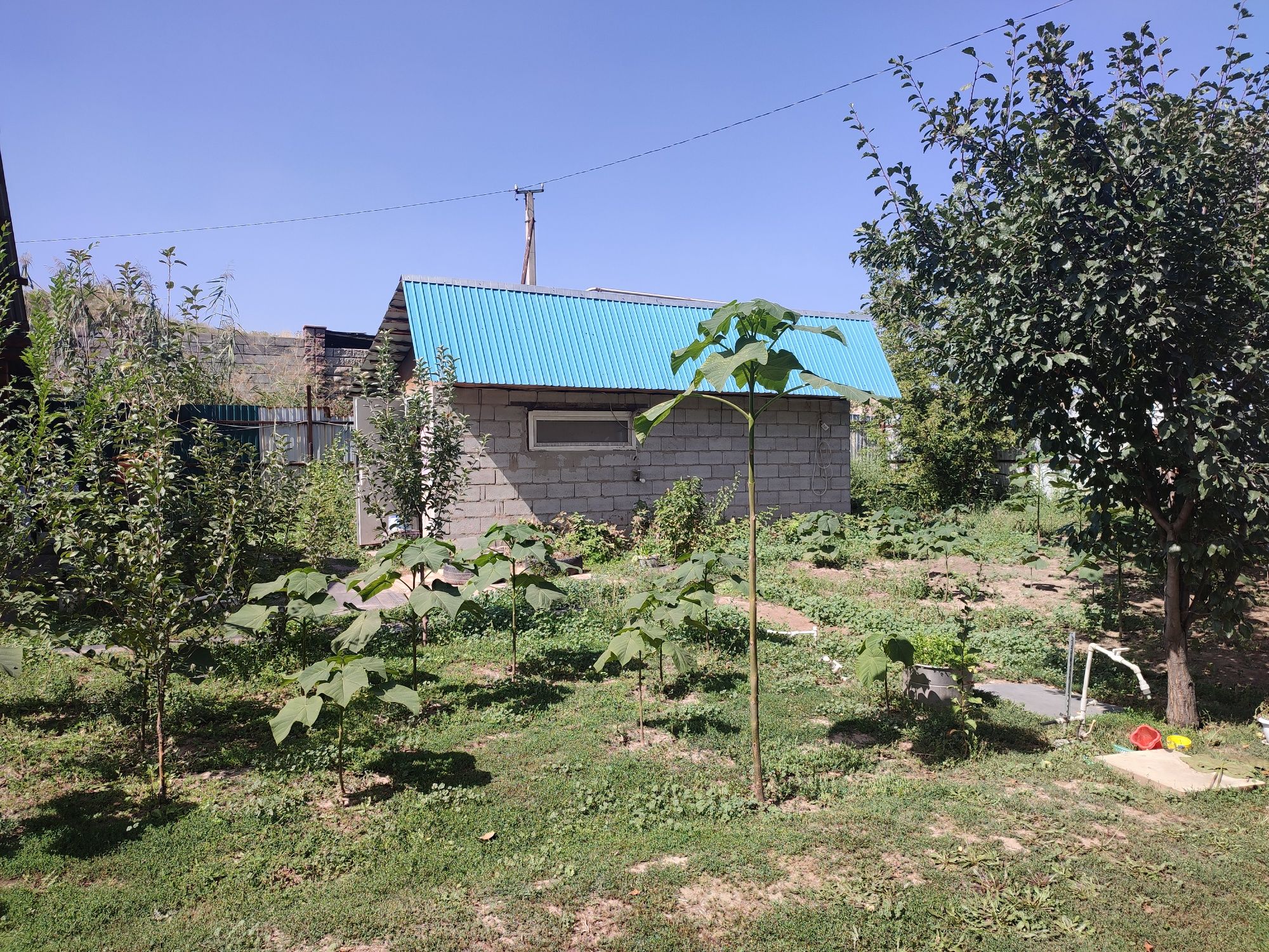 Продается дом  на участке 18 сот.