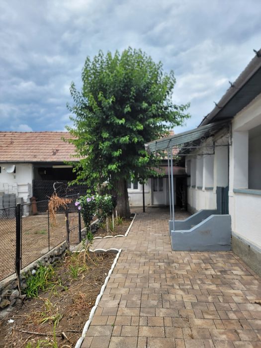 Casa de vanzare 3 camere