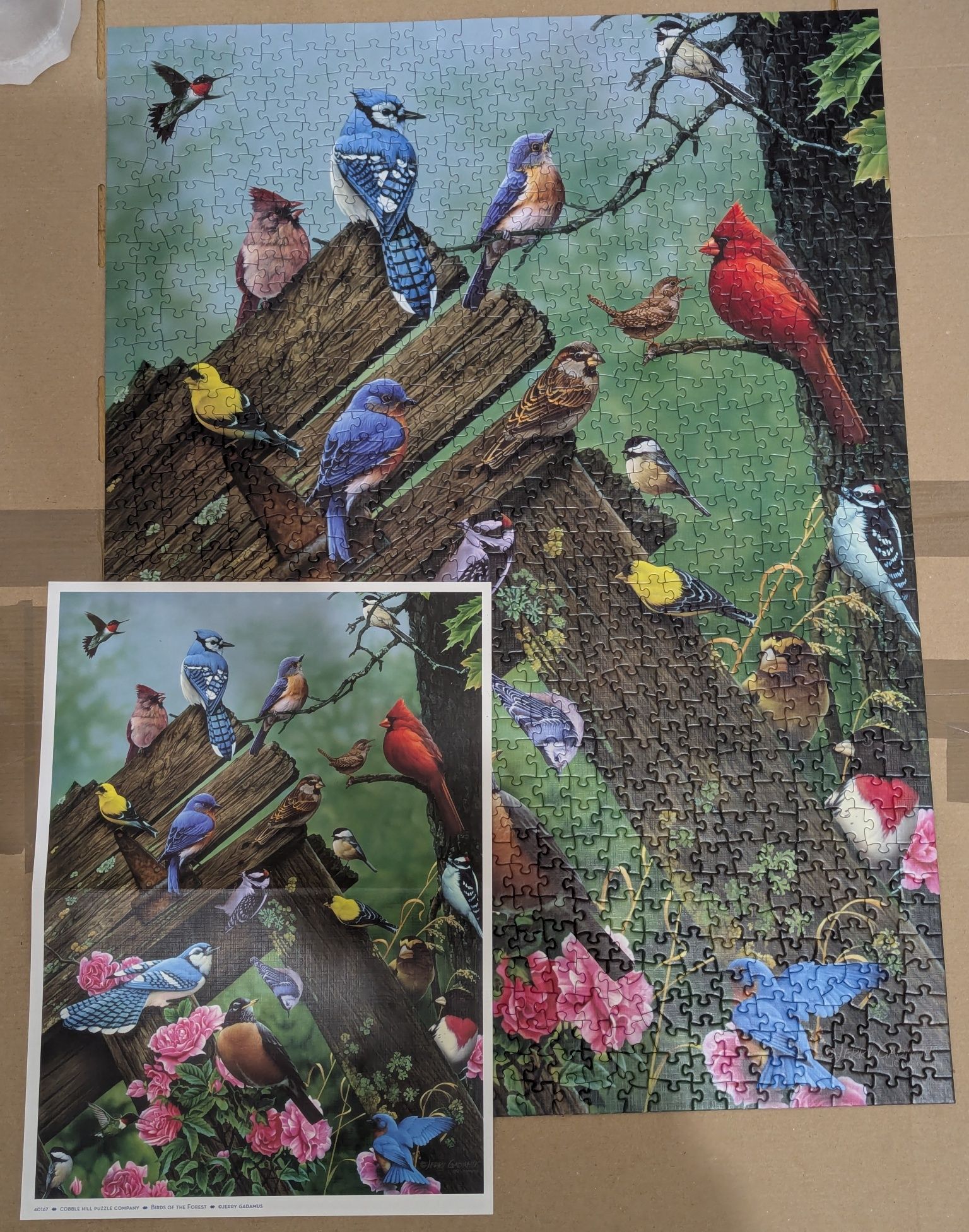 Puzzle Cobble Hill din 1000 de piese - "Păsări de pădure"