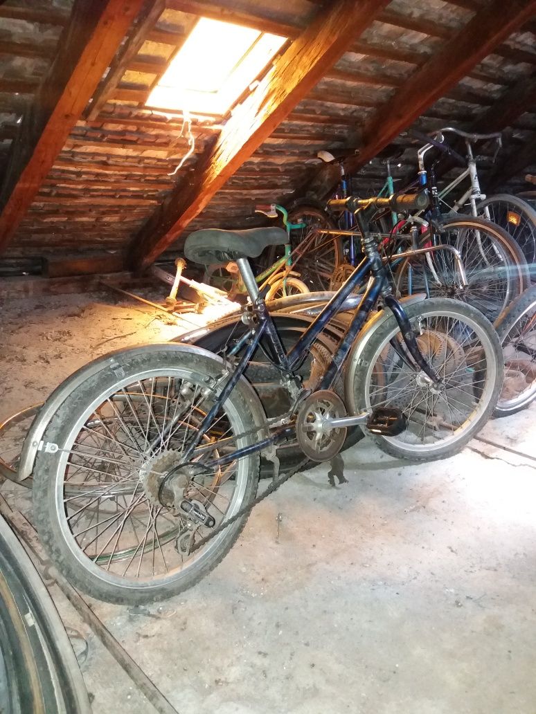 Alpina Bicicleta de copii elvetiana ci roti pe 20"