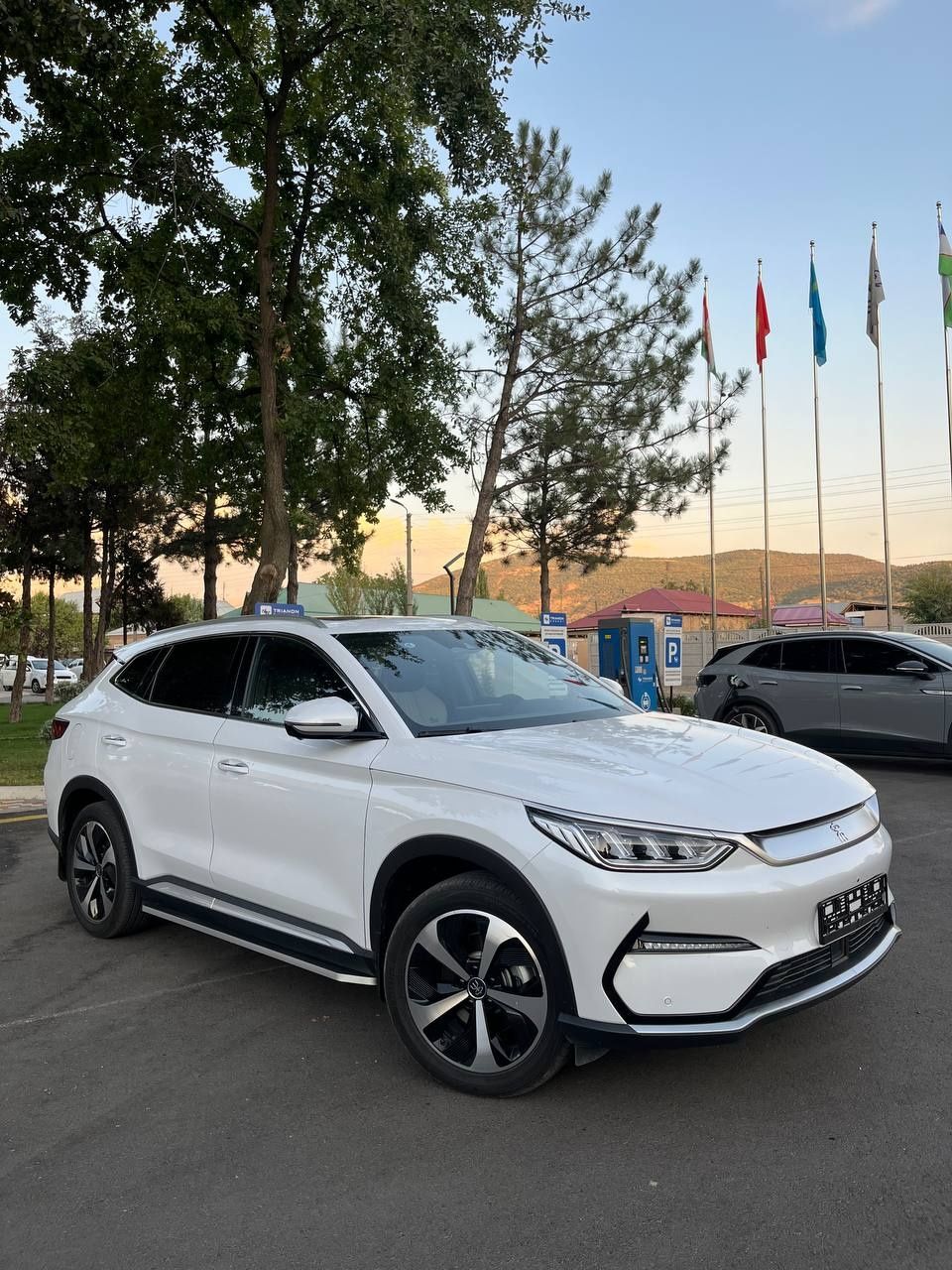 Byd song plus flagship