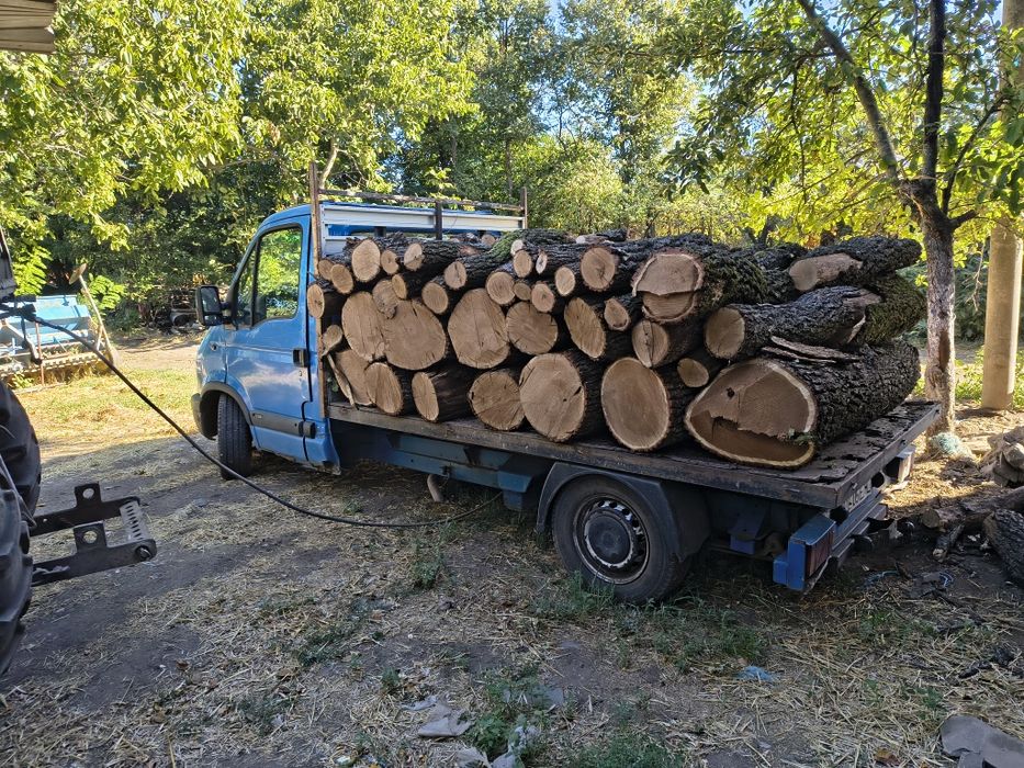 Lemne de foc  Tulcea și Constanța