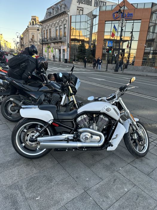 Harley Davidson VRod Muscle