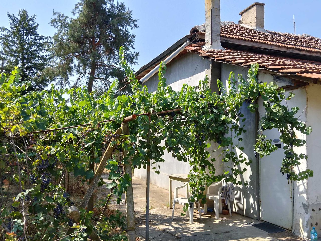 Продава се Къща в с. Якимово, Област Монтана - 2700 кв.м за 4 €/кв.м - Снимка #1