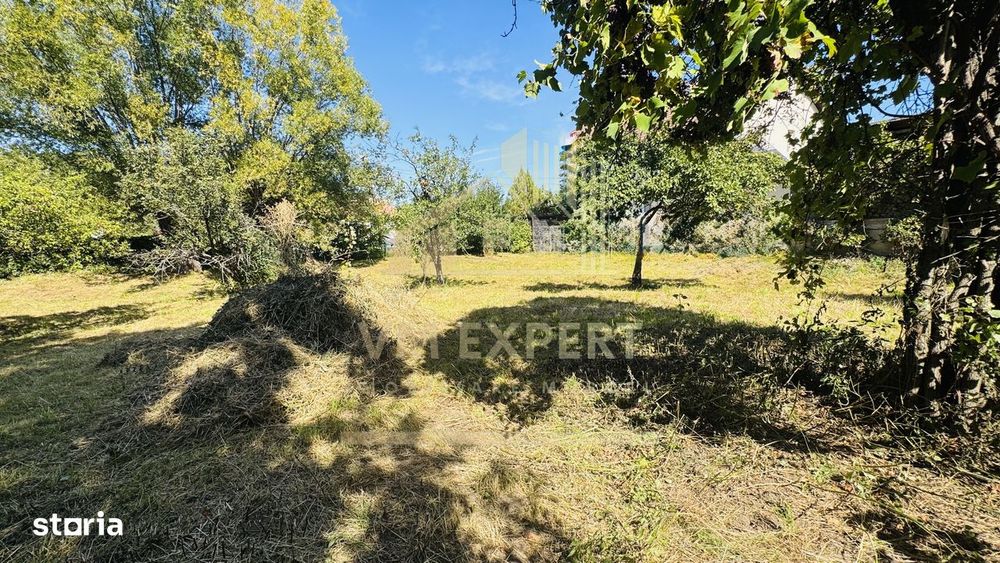 Teren Intravilan 3234 Mp Lerești Voinești Argeș