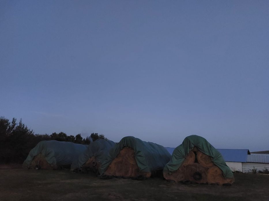 Prelata Baloti Speciala!Tip PASLA!Diferite dimensiuni!Tratata Uv!