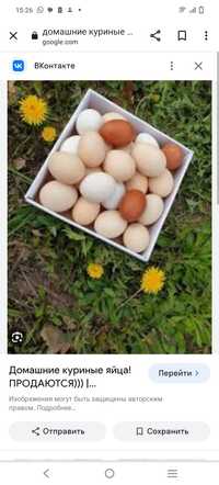 Продается свежие домашние яйца