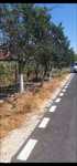 Vand Teren intravilan mare, 2706 mp. Com. Taut, Jud. Arad.Comision 0.
