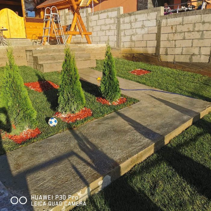 Gazon rulou și plante ornamentale