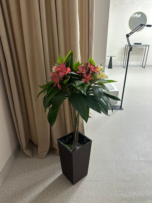 Декор цветы в горшках