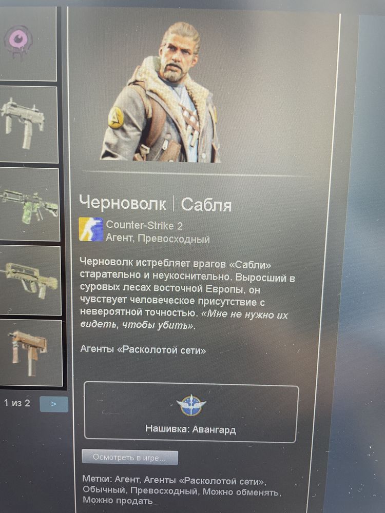 Скин cs2 Агент | Терор и Спецназ
