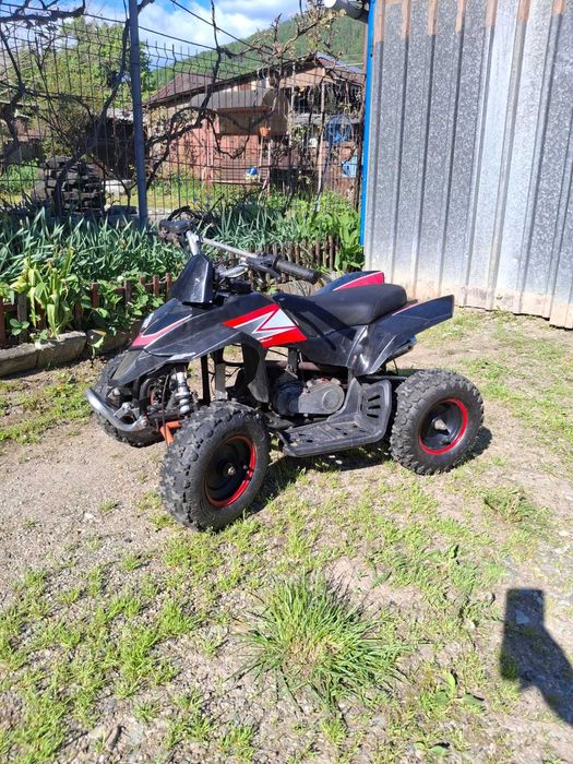 Vand Atv copii 49cc