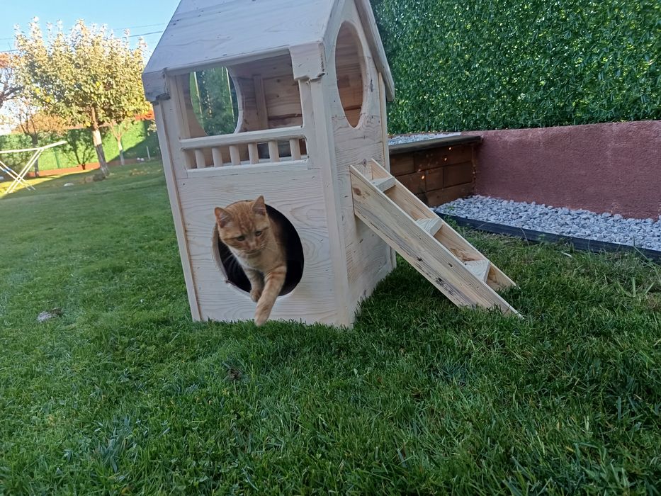 Къщичка за котка