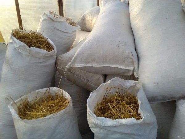 Продам солому, сено , суданку в мешках!