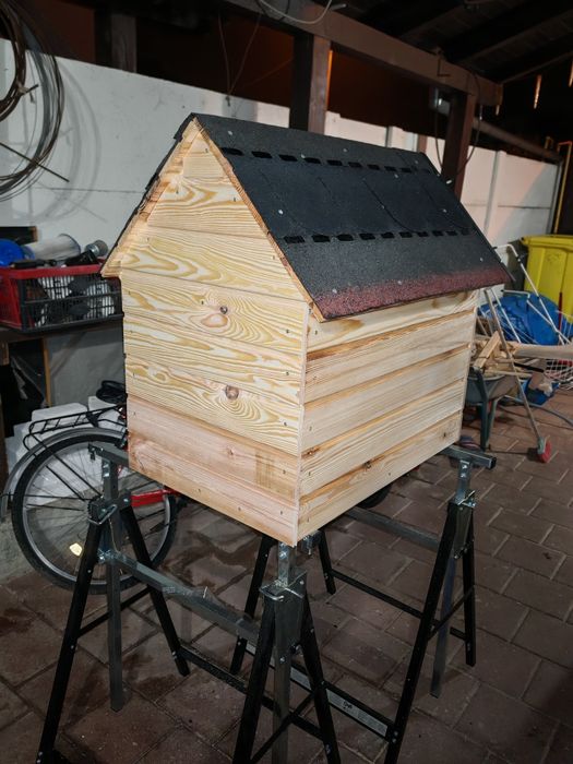 Custi pt caini orice model