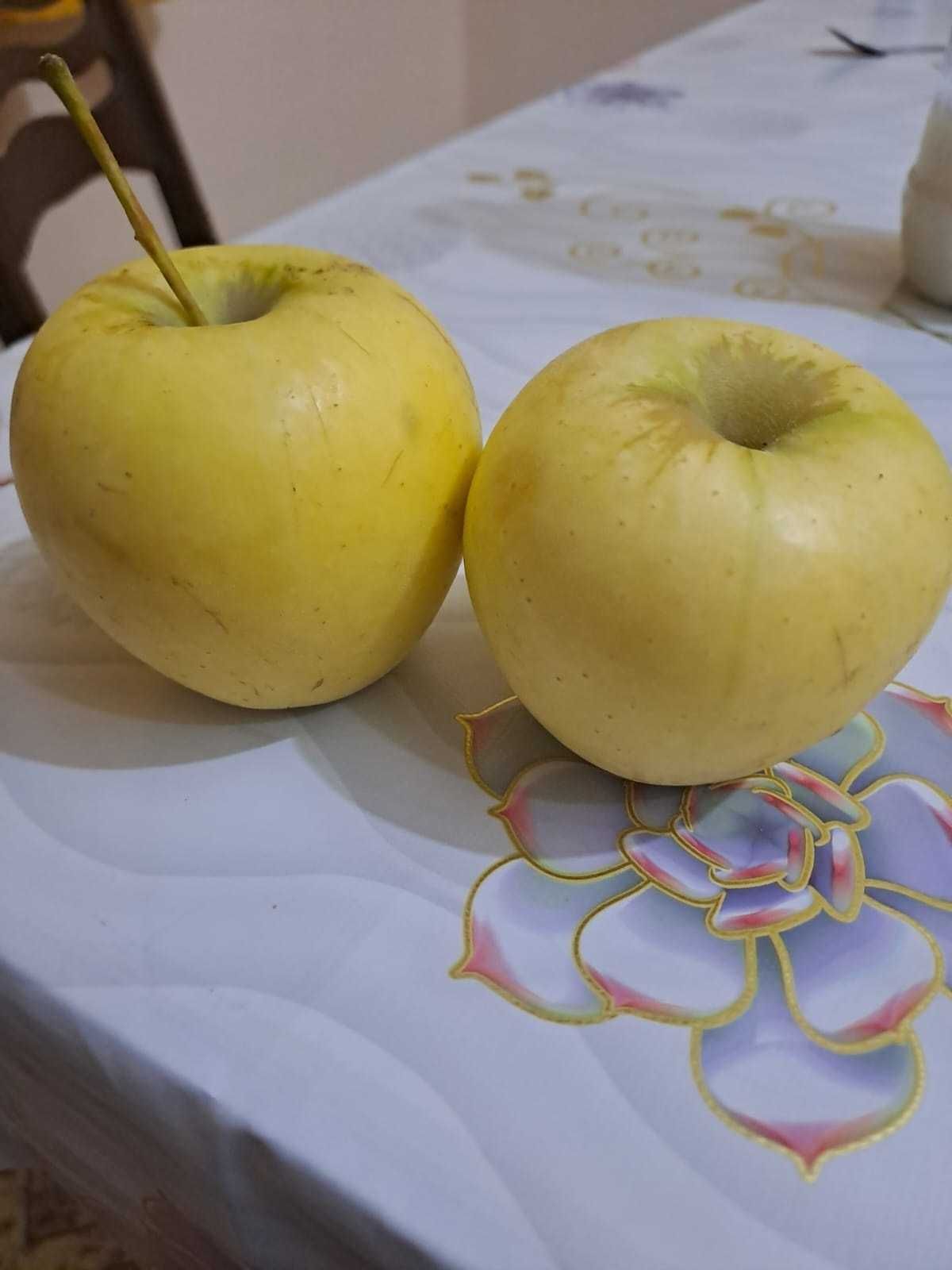 Продам отличные, домашние яблоки с собственного сада!