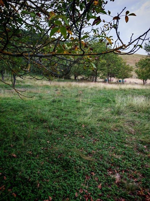 Teren de vânzare Vurpar