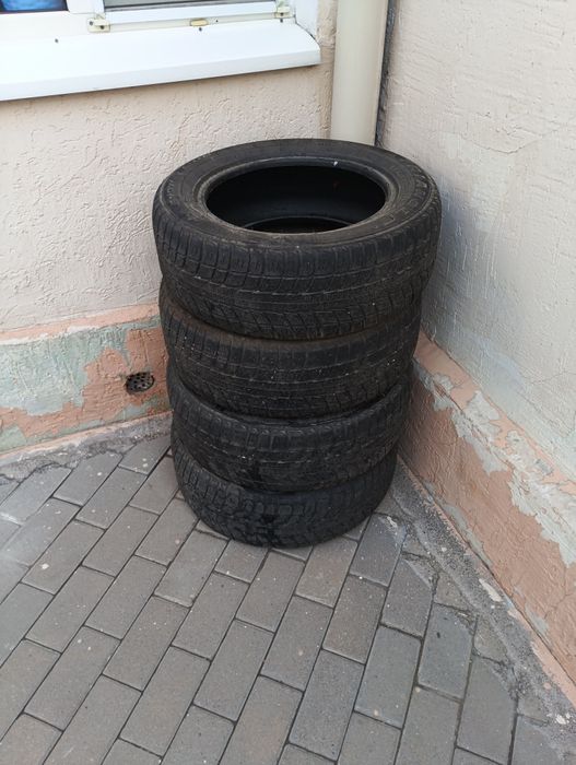 Зимние шины Triangle