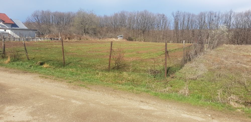 Teren de vanzare, Mosoaia, intravilan