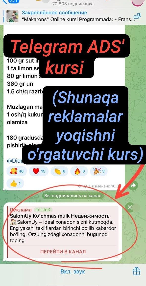 Telegram ADS' kursi