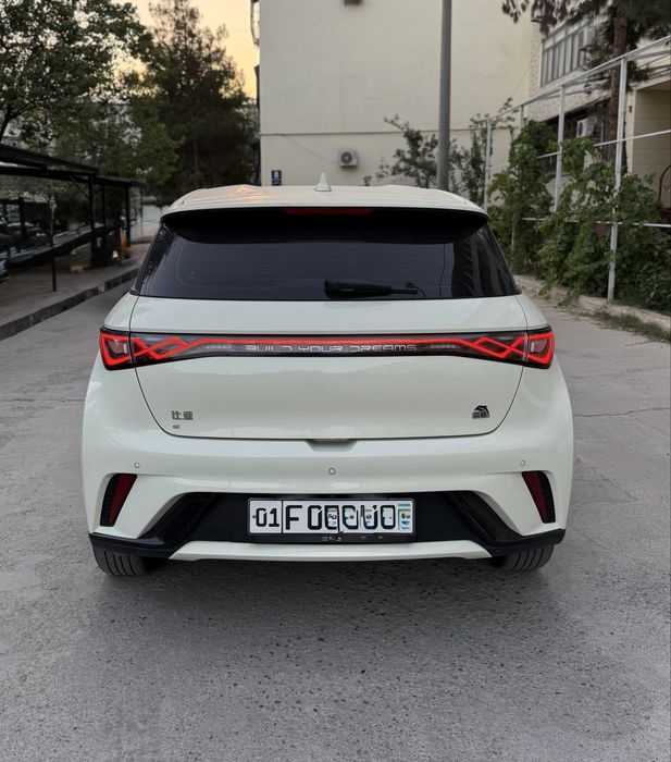 BYD Dolphin 420Km Toza