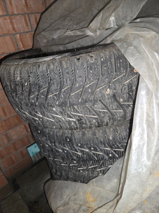 Донгелек бар, 1 сезон журип тастауга.