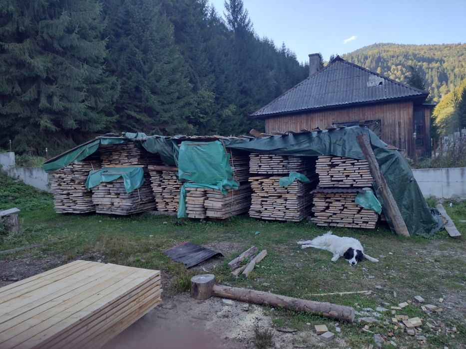 Cherestea Frasin 1600lei/mc