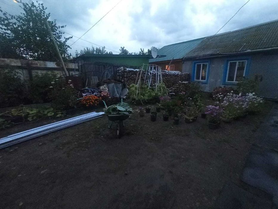 Продам дом в Лесхозе