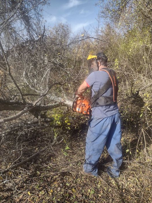 Почистване на дворове
