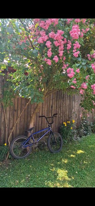 Bmx wethepeople arcade