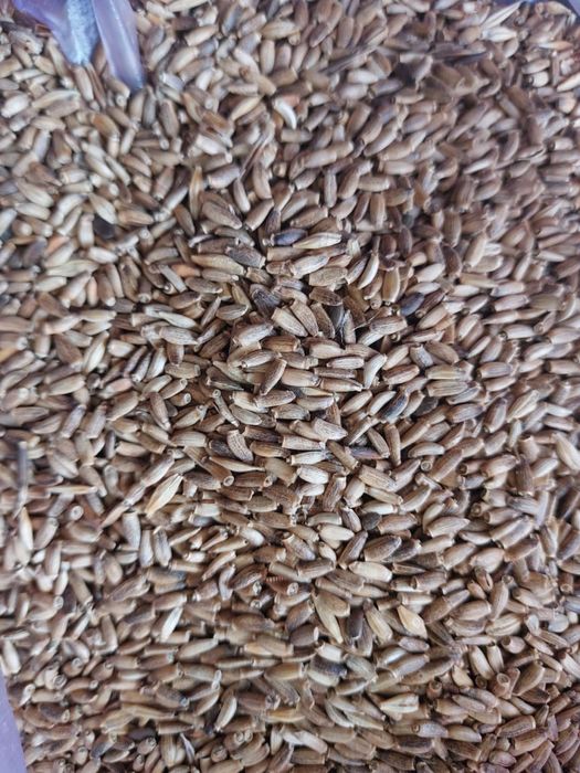 Растаропша сатылады