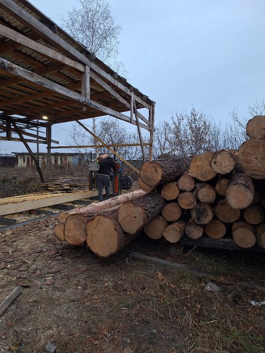 Реализуем пиломатериал порода сосна 5,6 метров в наличии и на заказ