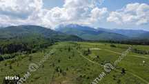 Teren extravilan 8400 mp de vanzare pe Valea Avrigului