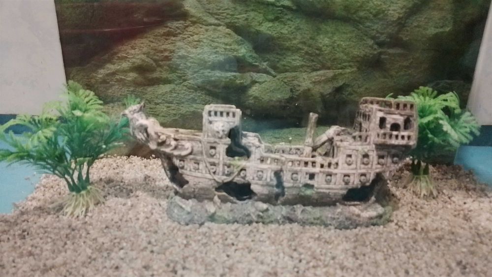 Аквариум за рибки с аксесоари 49 лв.