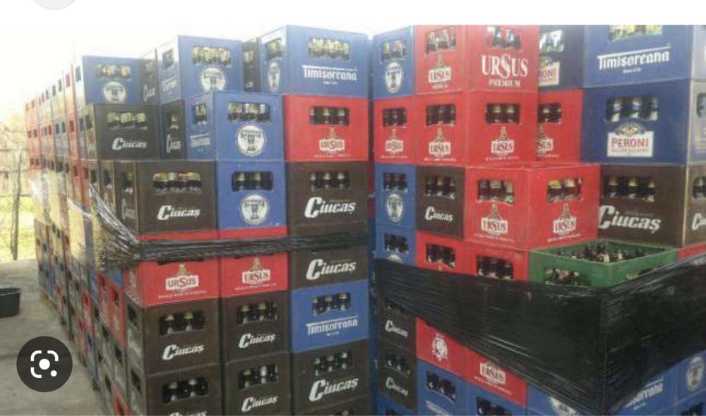 Vând navete Ciucaș timișoreana Ursus