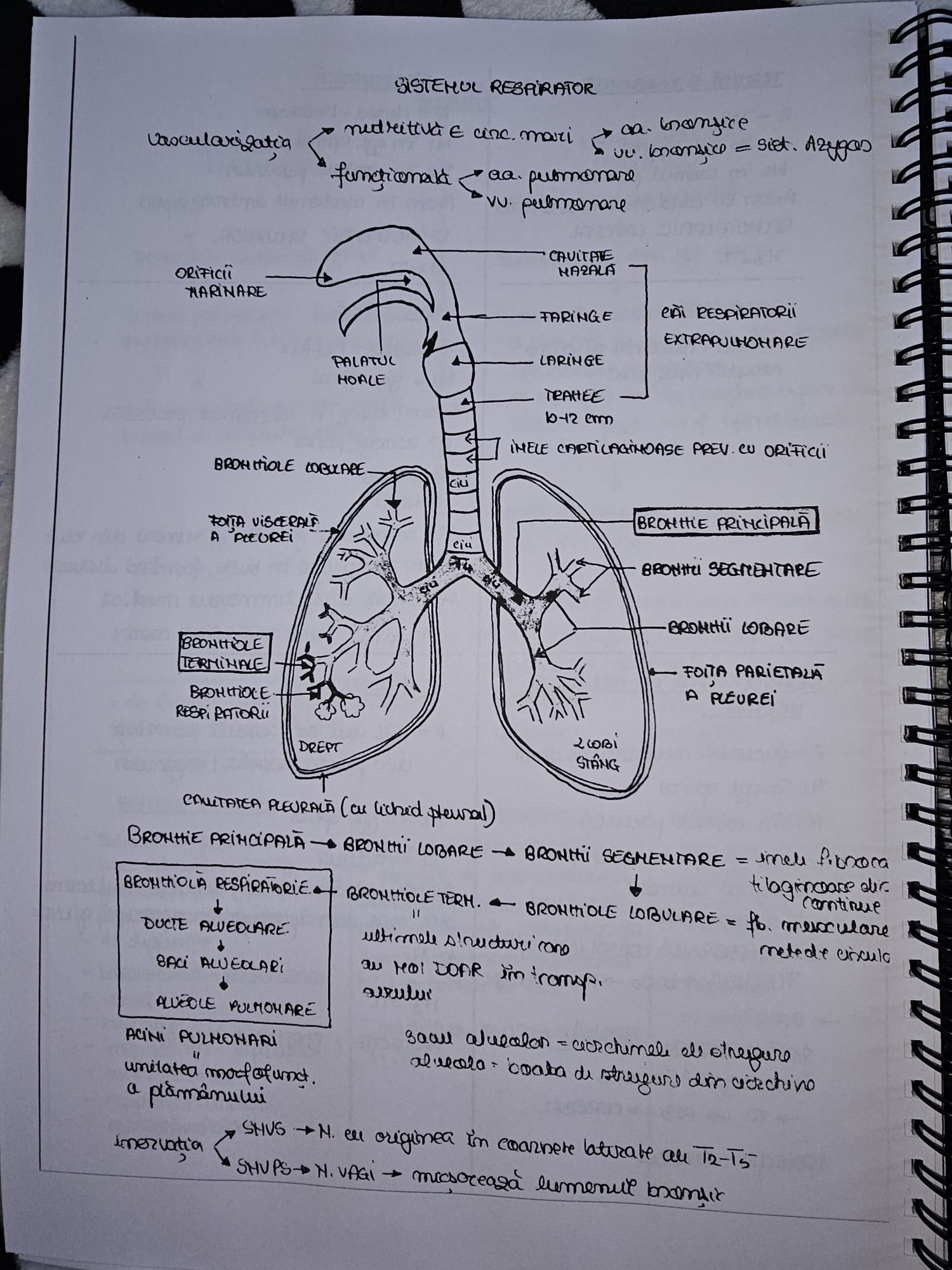 Dosar notițe admitere medicina