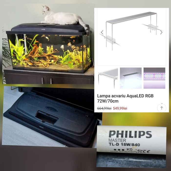 Acvariu 112 litri, stand, 4 filtre, lampa aqualed si capac cu neoane