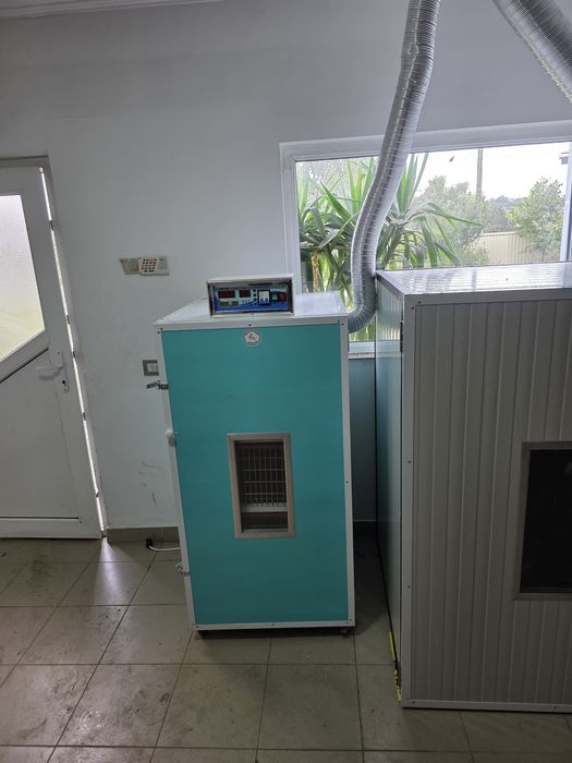 incubator oua strut