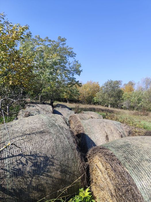 Vând baloți fân 280lei ușor negociabil